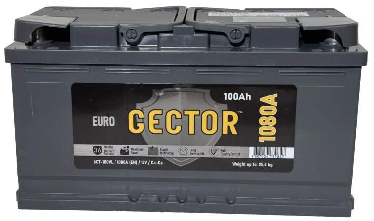 GECTOR 100 1
